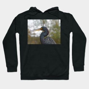 Tricolor Heron Calling Out Hoodie